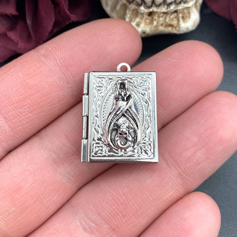 2psc Dainty Bat Book Locket Ch - Jewelry Making Journal reseña y precio
